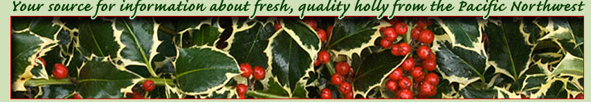 Information about fresh, quality holly from the Pacific Northwest
